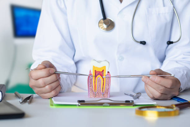 Best Emergency Treatment for Oral Infections in Mountain View Ranches, AZ